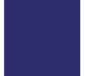RAL 5005 