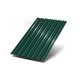 Профилированный лист С-15-1190-0.45 (с гранью) Двухсторонний (Printech) RAL 6005